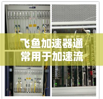 飞鱼加速器通常用于加速流媒体、视频流或压缩视频文件。如果遇到了稳定连接的问题,可能是因为网络连接不稳定、飞鱼加速器的配置问题,或者网络环境不佳。以下是一些建议,以帮助你解决连接稳定的问题 飞鱼加速器通常用于加速流媒体、视频流或压缩视频文件。如果遇到了稳定连接的问题,可能是因为网络连接不稳定、飞鱼加速器的配置问题,或者网络环境不佳。以下是一些建议,以帮助你解决连接稳定的问题