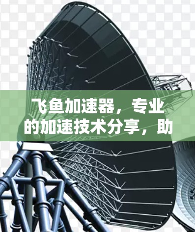 飞鱼加速器,专业的加速技术分享,助力高效数据传输 飞鱼加速器,专业的加速技术分享,助力高效数据传输