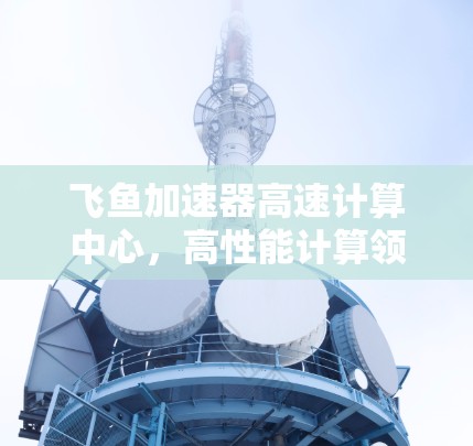 飞鱼加速器高速计算中心,高性能计算领域的创新 飞鱼加速器高速计算中心,高性能计算领域的创新