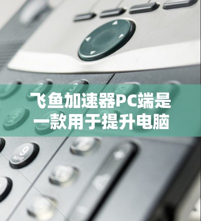 飞鱼加速器PC端是一款用于提升电脑性能和加速应用的工具。它提供多种加速功能，如下载加速、文件处理和视频流处理，帮助用户在 faster完成任务。以下是关于飞鱼加速器PC端的详细介绍