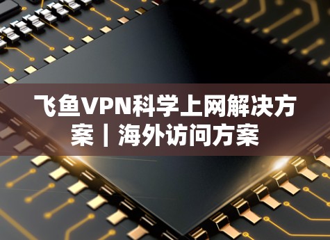 飞鱼VPN科学上网解决方案｜海外访问方案