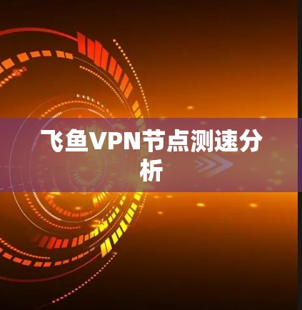 飞鱼VPN节点测速分析