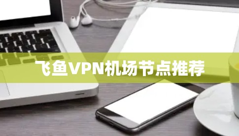 飞鱼VPN机场节点推荐 飞鱼VPN机场节点推荐