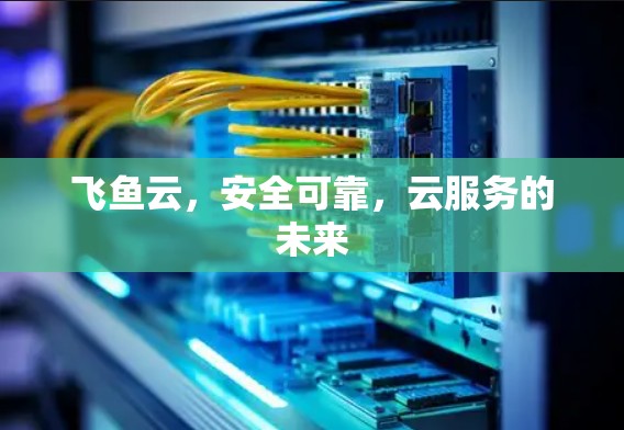 飞鱼云，安全可靠，云服务的未来
