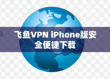 飞鱼VPN iPhone版安全便捷下载 飞鱼VPN iPhone版安全便捷下载