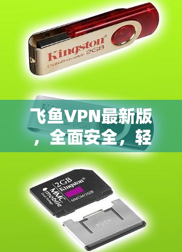 飞鱼VPN最新版,全面安全,轻松解决 VPN 疑问 飞鱼VPN最新版,全面安全,轻松解决 VPN 疑问