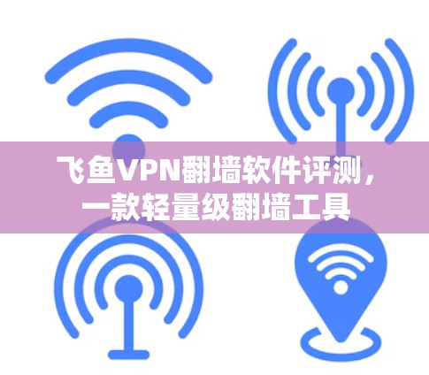 飞鱼VPN翻墙软件评测，一款轻量级翻墙工具