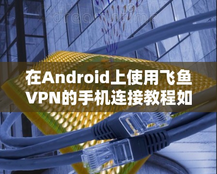 在Android上使用飞鱼VPN的手机连接教程如下