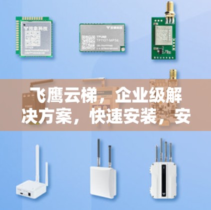 飞鹰云梯，企业级解决方案，快速安装，安全可靠
