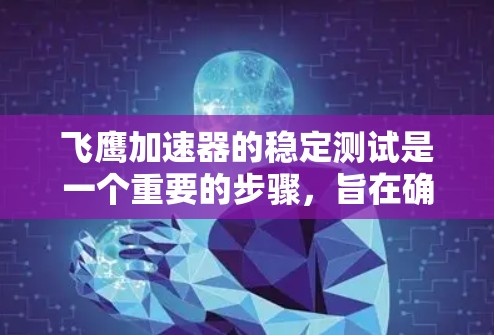 飞鹰加速器的稳定测试是一个重要的步骤，旨在确保其在各种运行条件下能够保持稳定性和安全。以下是关于飞鹰加速器稳定测试的一些关键点和步骤