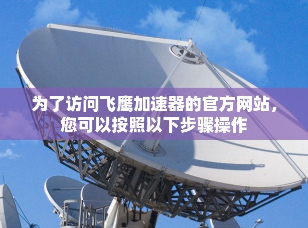 为了访问飞鹰加速器的官方网站，您可以按照以下步骤操作