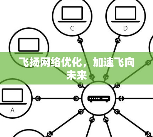 飞扬网络优化，加速飞向未来