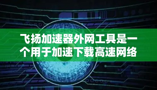 飞扬加速器外网工具是一个用于加速下载高速网络资源的工具。以下是关于该工具的详细分析