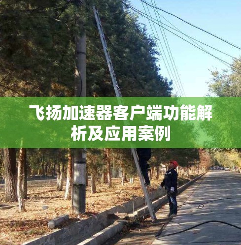 飞扬加速器客户端功能解析及应用案例