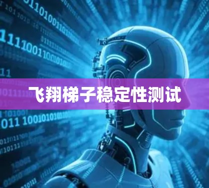 飞翔梯子稳定性测试