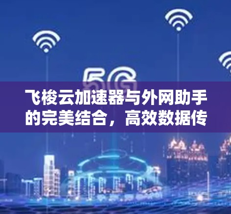飞梭云加速器与外网助手的完美结合，高效数据传输的秘诀