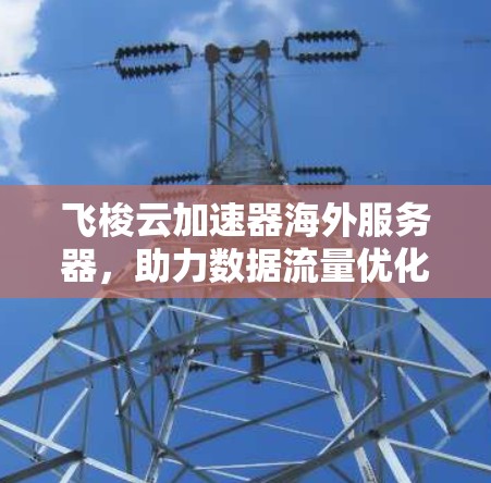 飞梭云加速器海外服务器，助力数据流量优化