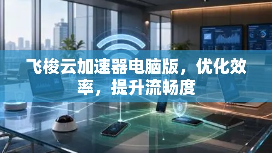 飞梭云加速器电脑版，优化效率，提升流畅度