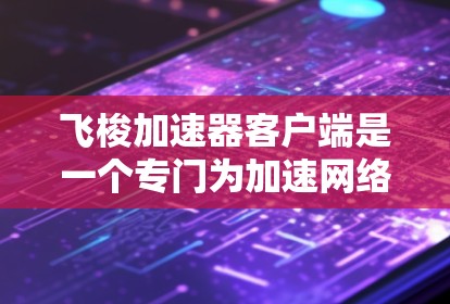 飞梭加速器客户端是一个专门为加速网络连接而设计的工具，旨在提升数据传输速度和网络稳定性。以下是对该客户端的详细介绍