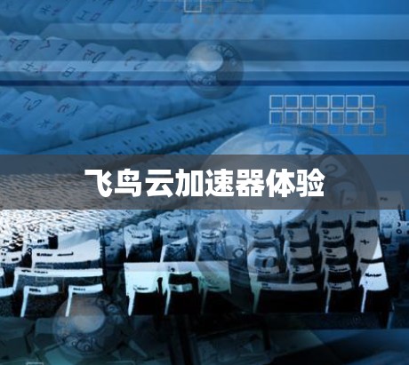 飞鸟云加速器体验