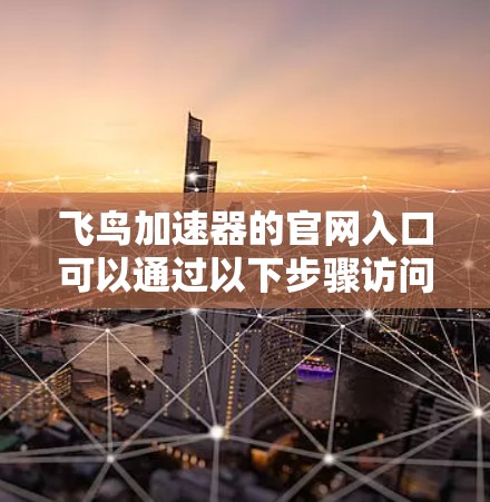 飞鸟加速器的官网入口可以通过以下步骤访问