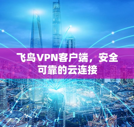 飞鸟VPN客户端，安全可靠的云连接