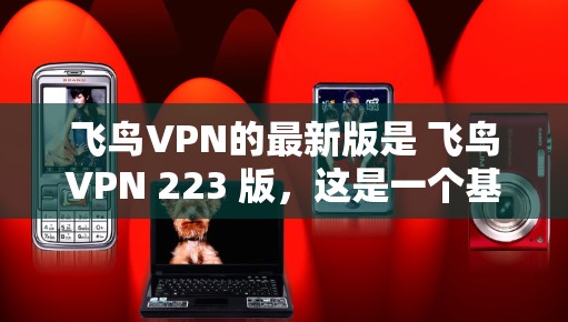 飞鸟VPN的最新版是 飞鸟VPN 223 版，这是一个基于加密技术的VPN应用，旨在为用户提供安全、高效、便捷的VPN体验。以下是下载飞鸟VPN 223 版的常见下载入口