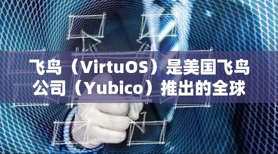 飞鸟（VirtuOS）是美国飞鸟公司（Yubico）推出的全球领先的网络VPN服务，提供了一个简单、高效、安全的网络连接体验。以下是对飞鸟VPN线路体验的详细介绍