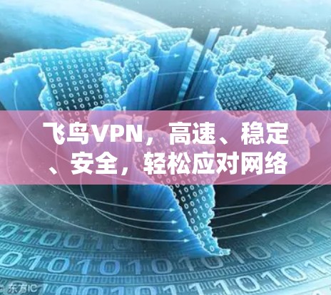 飞鸟VPN，高速、稳定、安全，轻松应对网络挑战