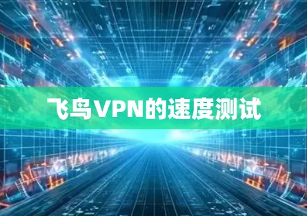 飞鸟VPN的速度测试