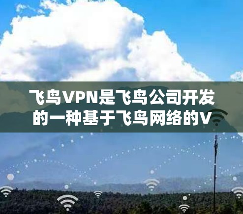飞鸟VPN是飞鸟公司开发的一种基于飞鸟网络的VPN服务，旨在为用户提供加密、娱乐、视频等服务。如果您想测试飞鸟VPN的速度，可以按照以下步骤进行