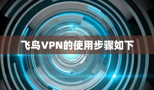 飞鸟VPN的使用步骤如下