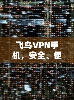 飞鸟VPN手机，安全、便捷，为你的通信保驾护航