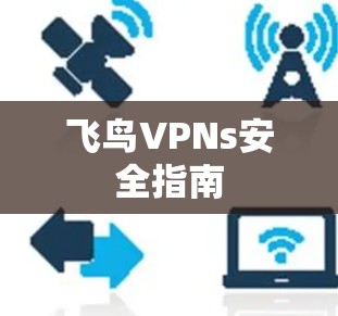 飞鸟VPNs安全指南