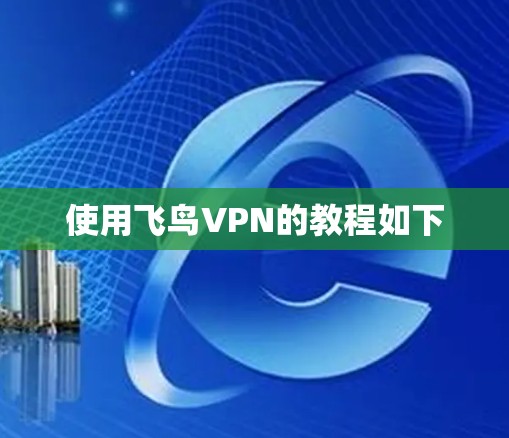 使用飞鸟VPN的教程如下