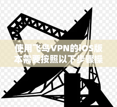 使用飞鸟VPN的iOS版本需要按照以下步骤操作