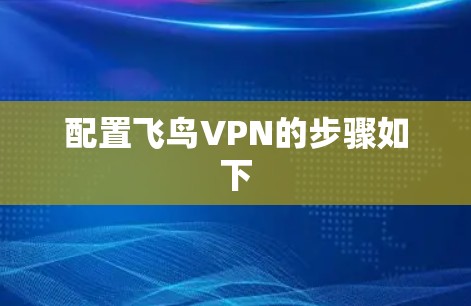 配置飞鸟VPN的步骤如下