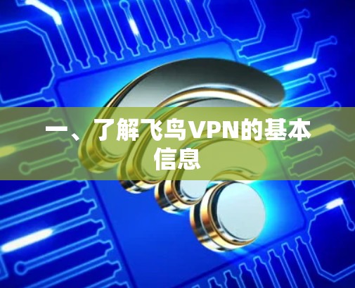 一、了解飞鸟VPN的基本信息