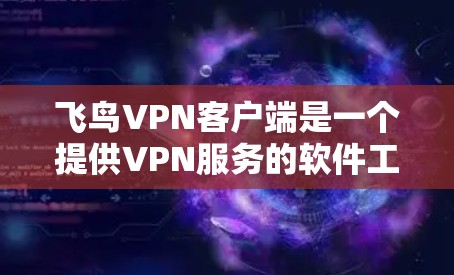 飞鸟VPN客户端是一个提供VPN服务的软件工具，旨在帮助用户安全地连接到互联网。以下是关于飞鸟VPN客户端的详细介绍