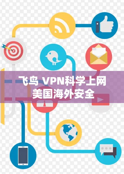 飞鸟 VPN科学上网 美国海外安全