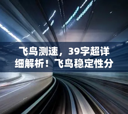 飞鸟测速，39字超详细解析！飞鸟稳定性分析全面解析