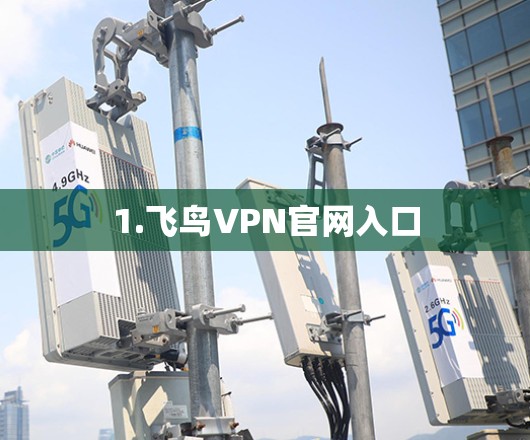 1.飞鸟VPN官网入口 1.飞鸟VPN官网入口