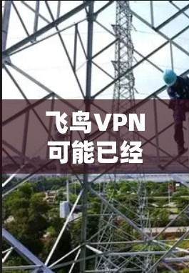 飞鸟VPN可能已经不再支持客户端的下载，或者下载过程存在风险。以下是一些建议和步骤，帮助您在安全的环境中进行VPN连接