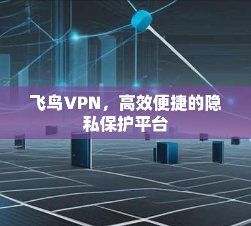 飞鸟VPN，高效便捷的隐私保护平台