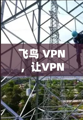 飞鸟 VPN,让VPN变得简单! 飞鸟 VPN,让VPN变得简单!