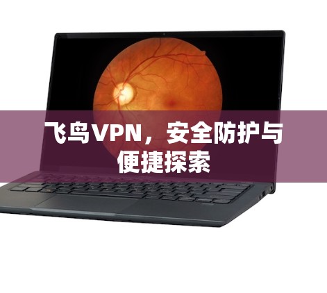 飞鸟VPN，安全防护与便捷探索