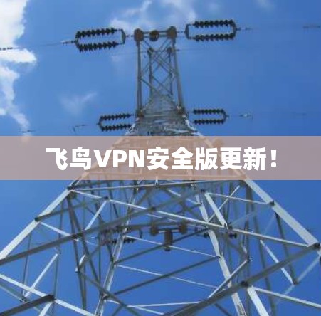 飞鸟VPN安全版更新! 飞鸟VPN安全版更新!