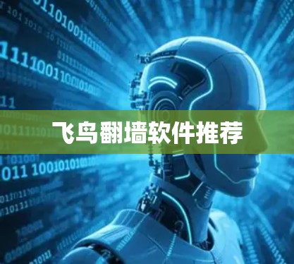 飞鸟翻墙软件推荐