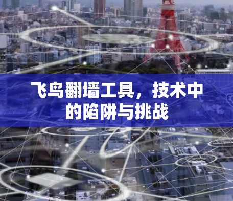 飞鸟翻墙工具，技术中的陷阱与挑战