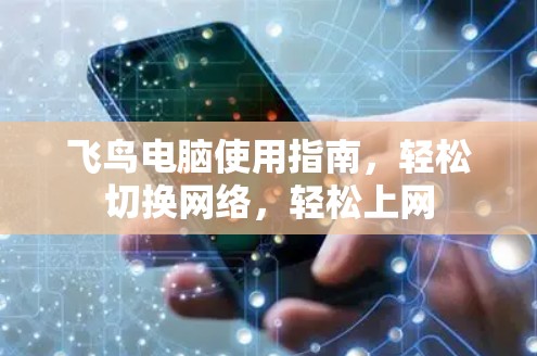 飞鸟电脑使用指南，轻松切换网络，轻松上网